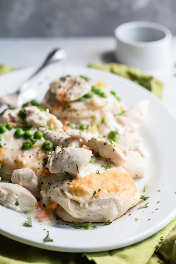 Chicken a la king on a white plate.