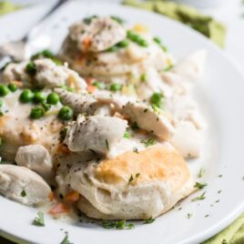 Chicken a la king on a white plate.