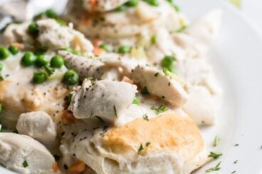 Chicken a la king on a white plate.