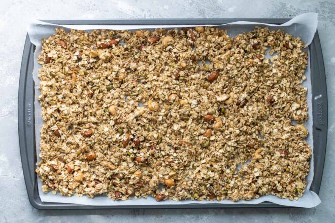 best food dehydrators