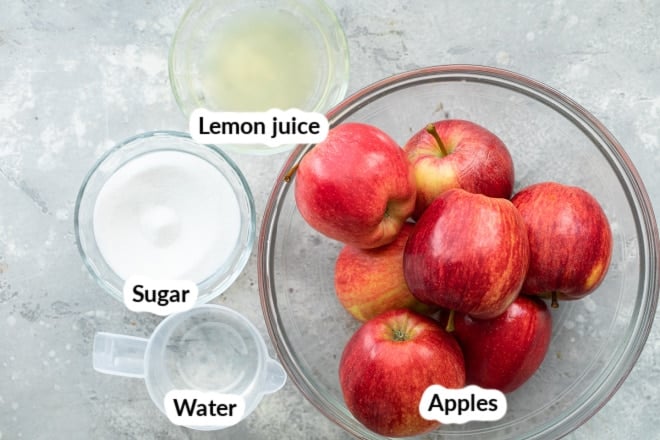 Labeled applesauce ingredients in various bowls.