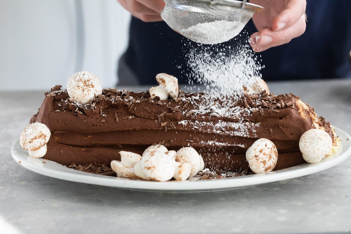 A Buche de Noel (yule log cake) on a platter.