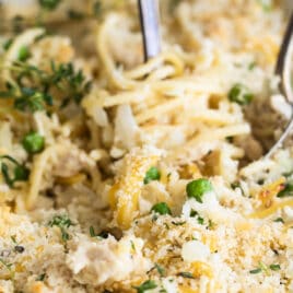 Chicken tetrazzini in a white baking dish.