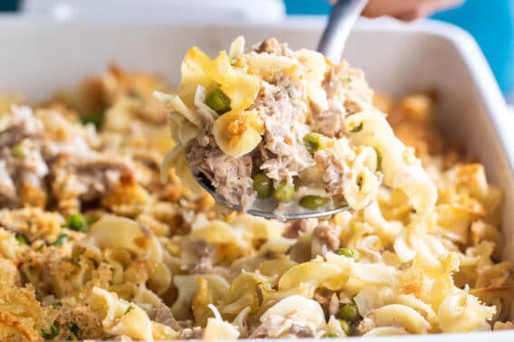 Tuna casserole in a white baking dish.