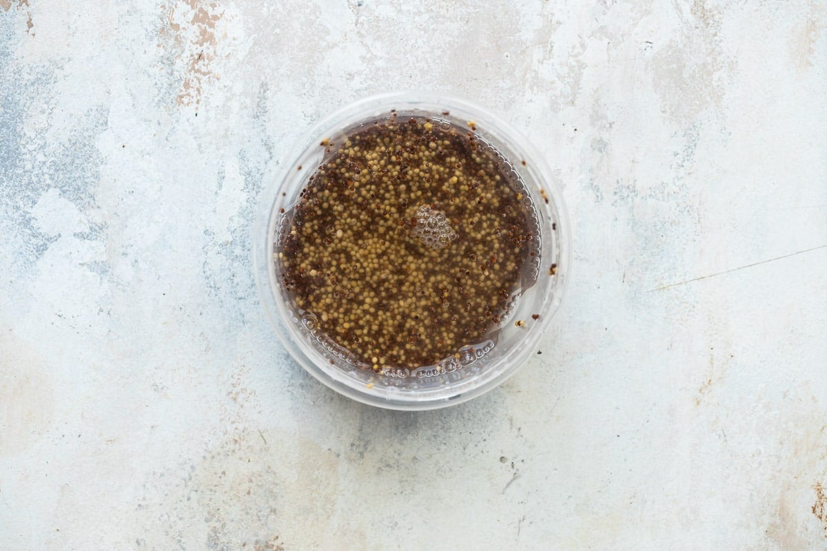 Soaking mustard seeds to make whole grain mustard.