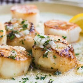 Pan-seared scallops with a lemon butter sauce on a white plate.