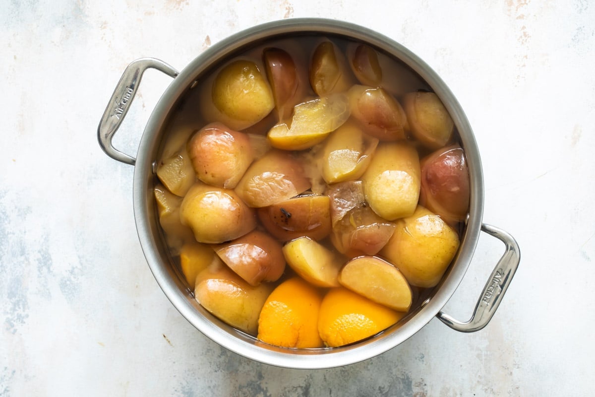 A stock pot with ingredients for apple cider.