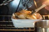 Brushing apple glaze on a Cornish hen.