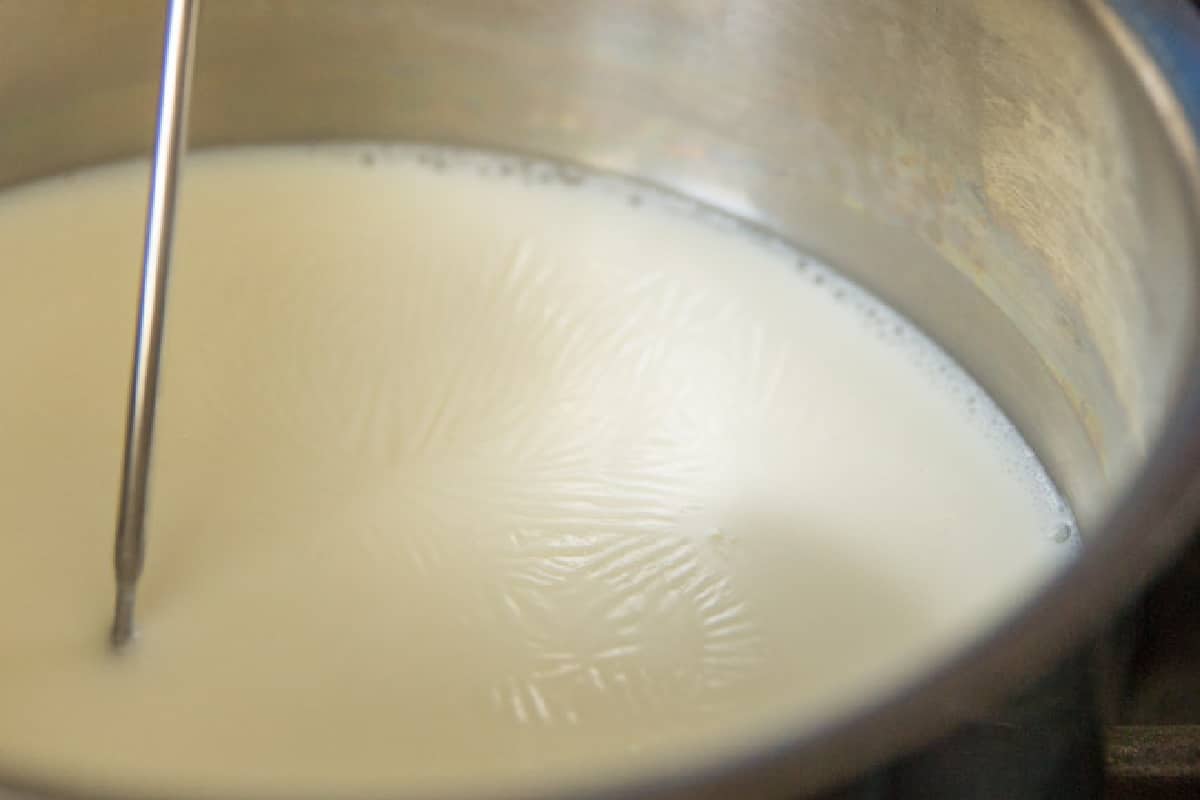 Scalded milk in a saucepan.