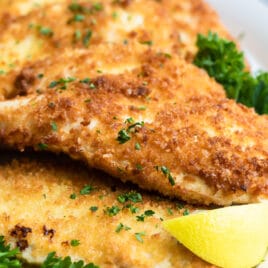 Chicken Schnitzel garnished with a lemon and parsley.