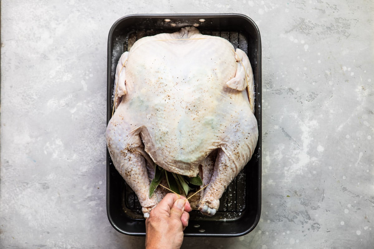 Trussing a raw turkey.
