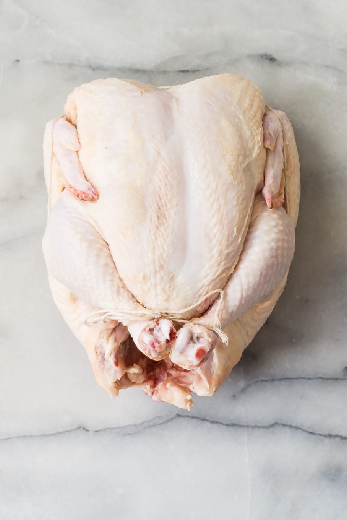 A trussed raw chicken.