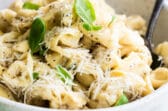 A bowl of cheese tortellini in garlic butter.