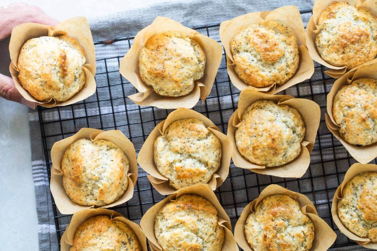 Lemon Poppy Seed Muffins baked in paper cups.