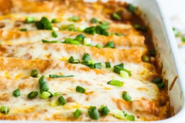 Sour cream and chicken enchiladas in a baking dish.