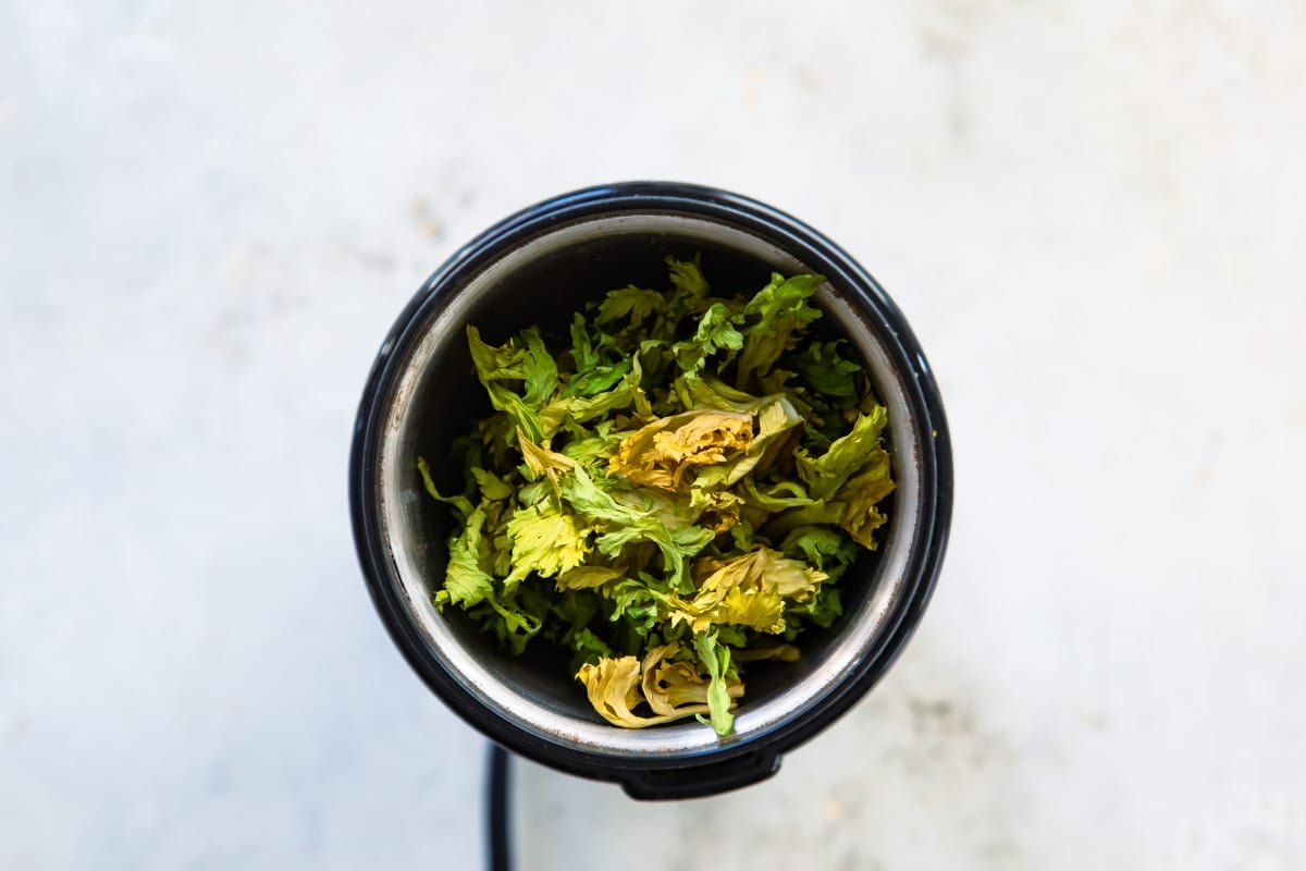 Celery leaves in a spice grinder before being ground.