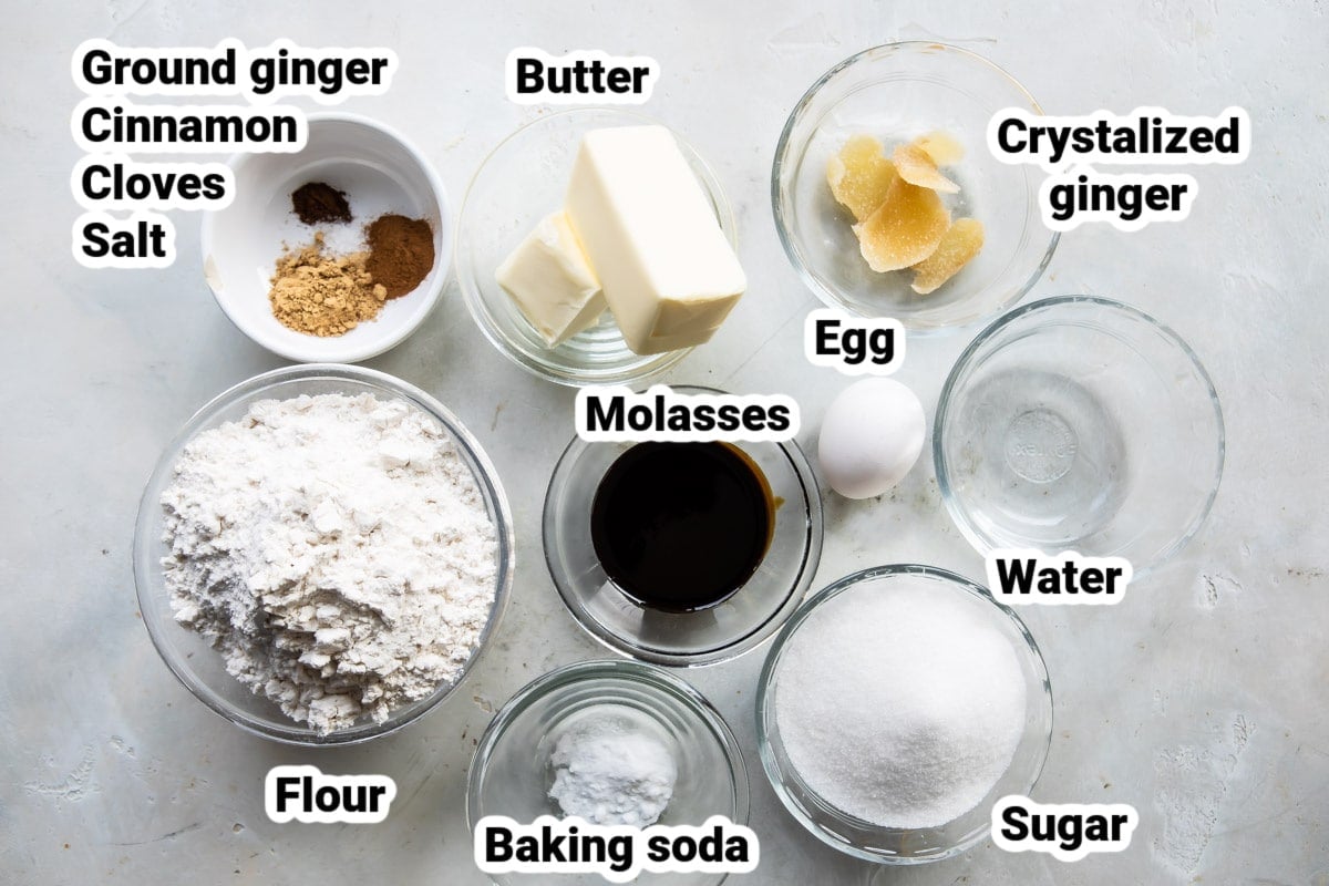 Labeled ingredients fo double ginger cookies.