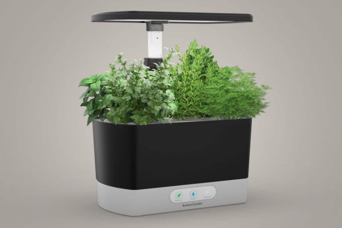 Indoor Gardens are great gifts for gardeners