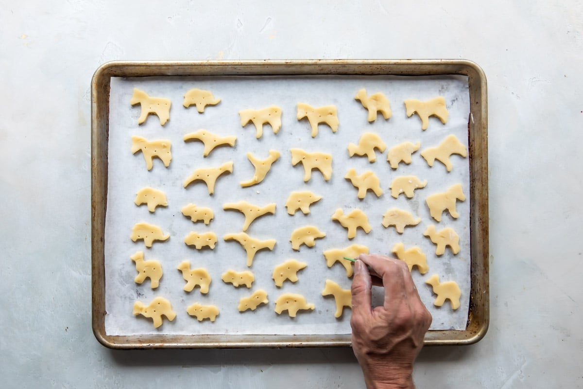 A baking sheet full of unbaked circus animal cookies.