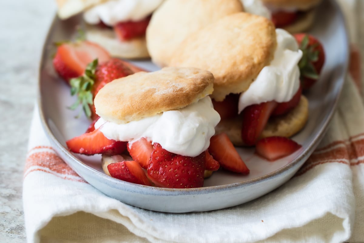 best biscuit cutters