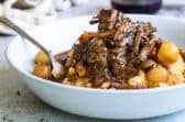 A white bowl of beef bourguignon and mashed potatoes.