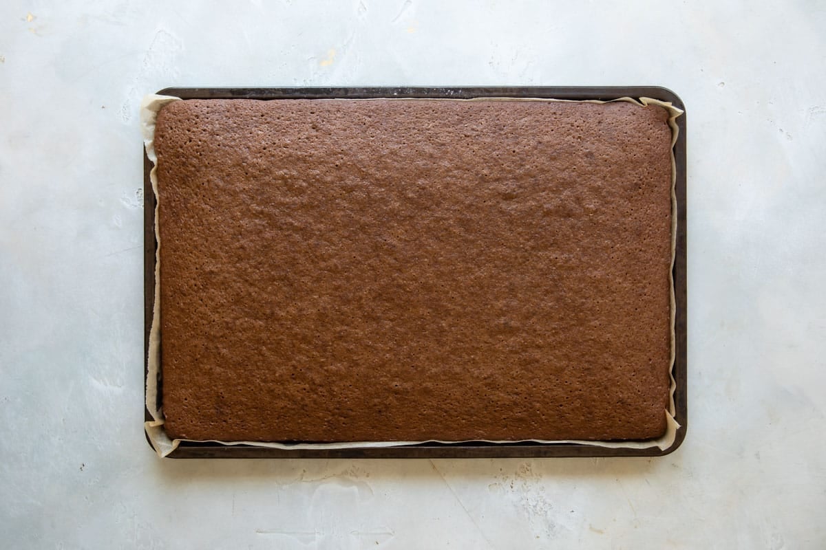 An baked, unfrosted Texas sheet cake.