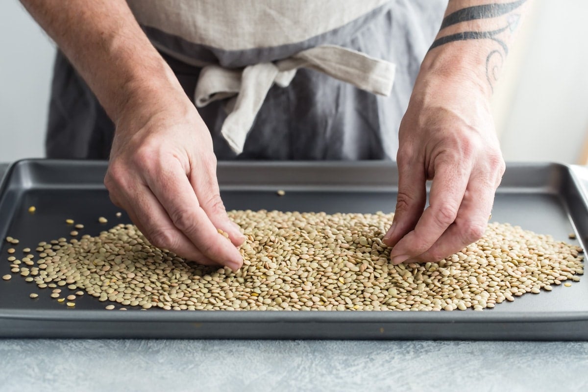 Lentils on a baking sheet.