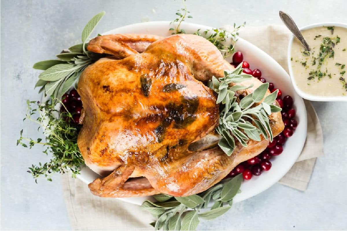 Thanksgiving turkey