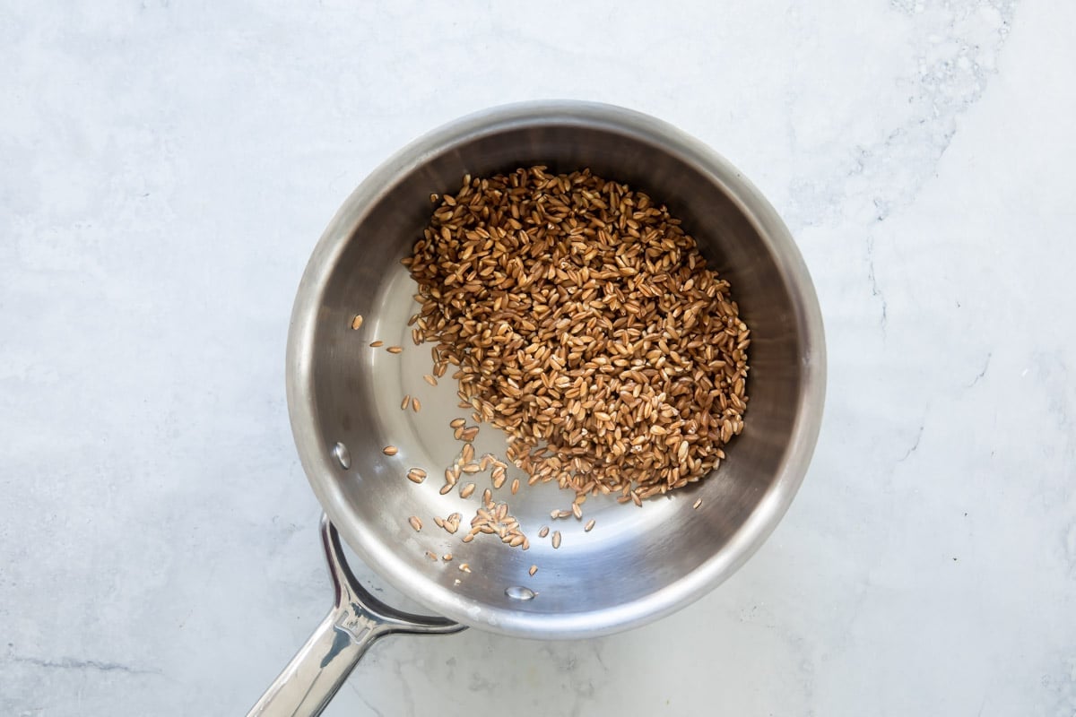 Cooking farro in a saucepan.