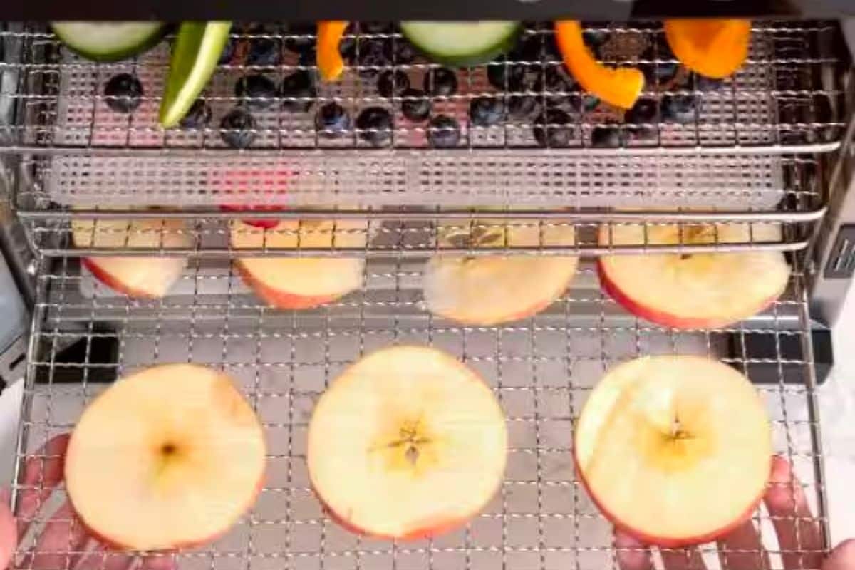 best food dehydrators