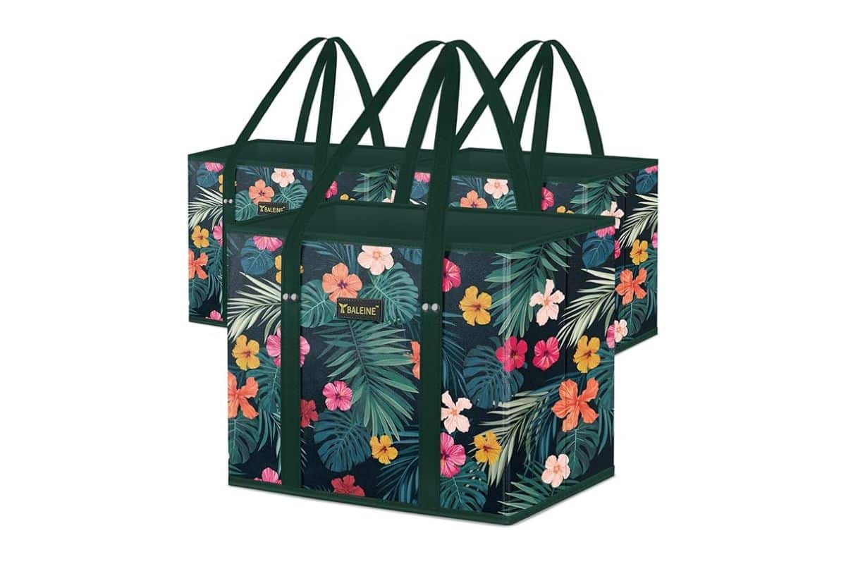 Bailene Reusable Shopping Bags (3-Pack)
