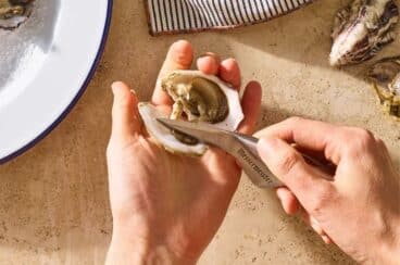 Someone using a Messermeister oyster knife.