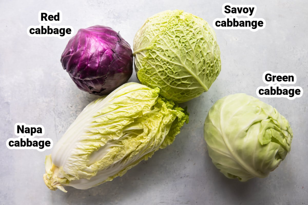 Four types of cabbage labeled.