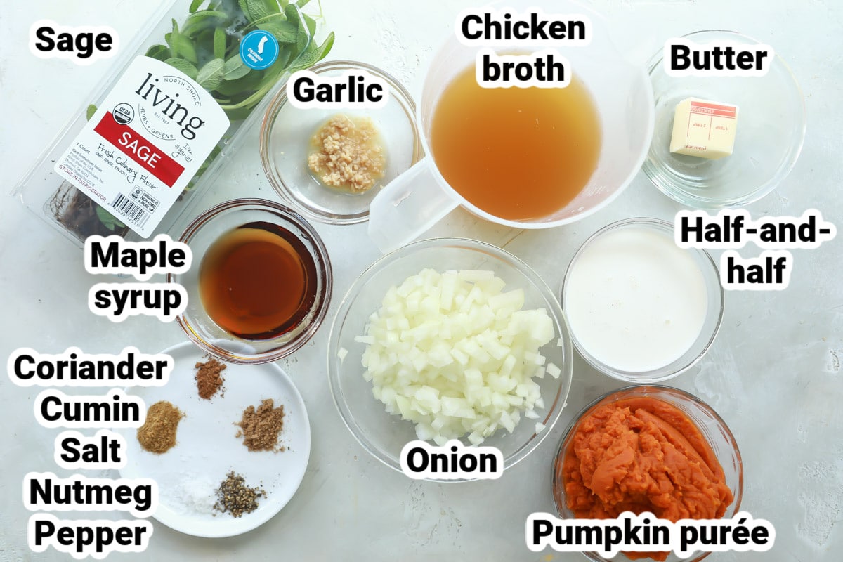 Labeled ingredients for pumpkin soup.