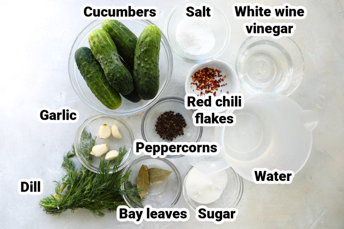 Labeled ingredients for dill pickles.