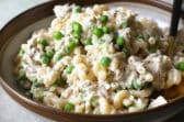A bowl of tuna pasta salad.