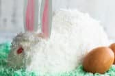 A bunny cake on a bed of green coconut.
